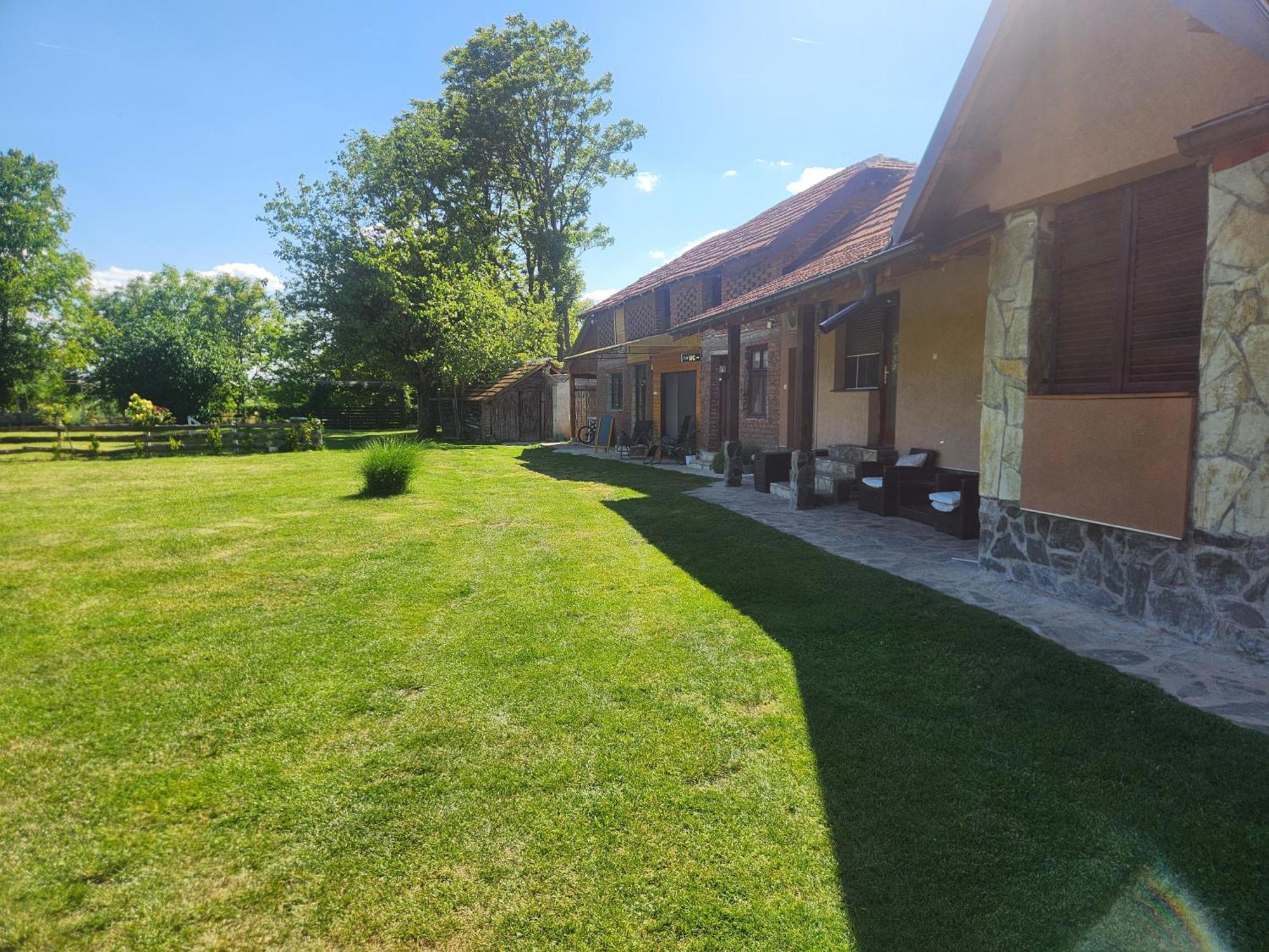 Villa Dvor Donja Toponica Exterior foto